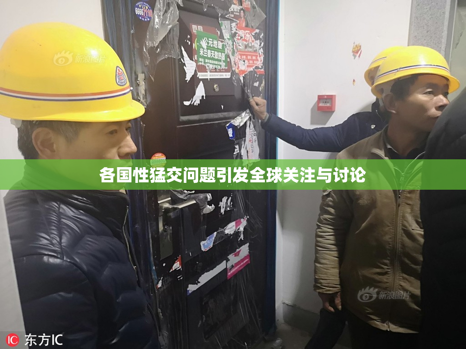各国性猛交问题引发全球关注与讨论