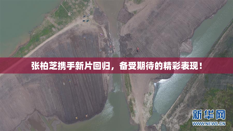 张柏芝携手新片回归，备受期待的精彩表现！