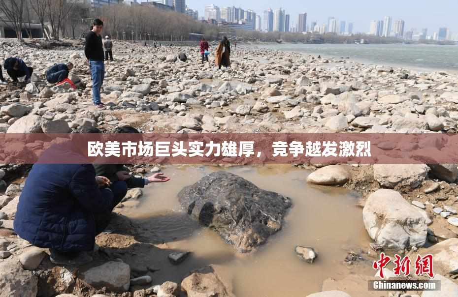 欧美市场巨头实力雄厚，竞争越发激烈