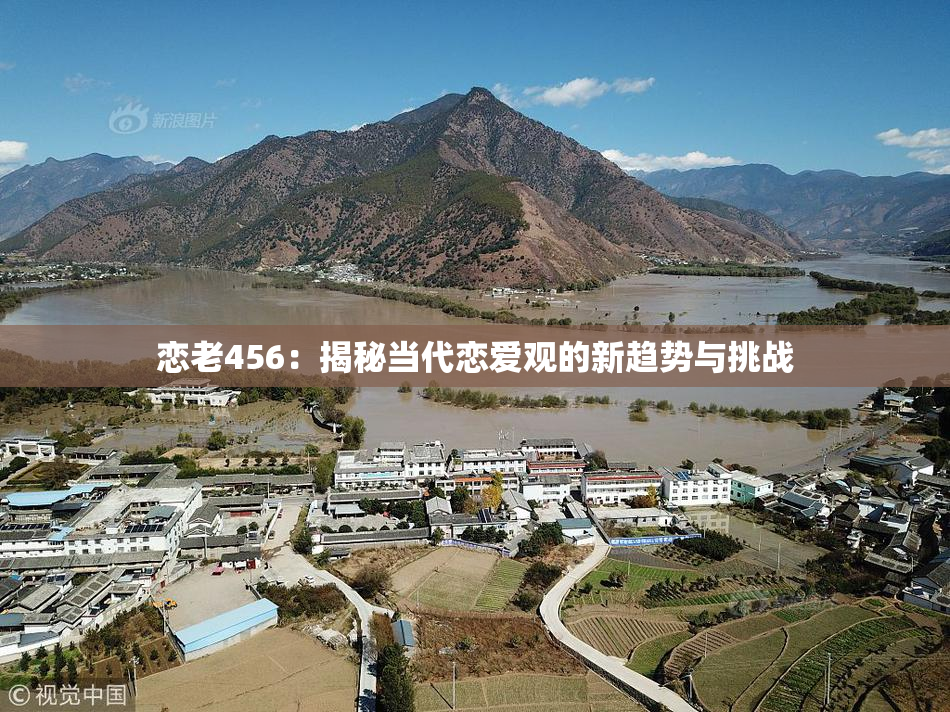 恋老456：揭秘当代恋爱观的新趋势与挑战