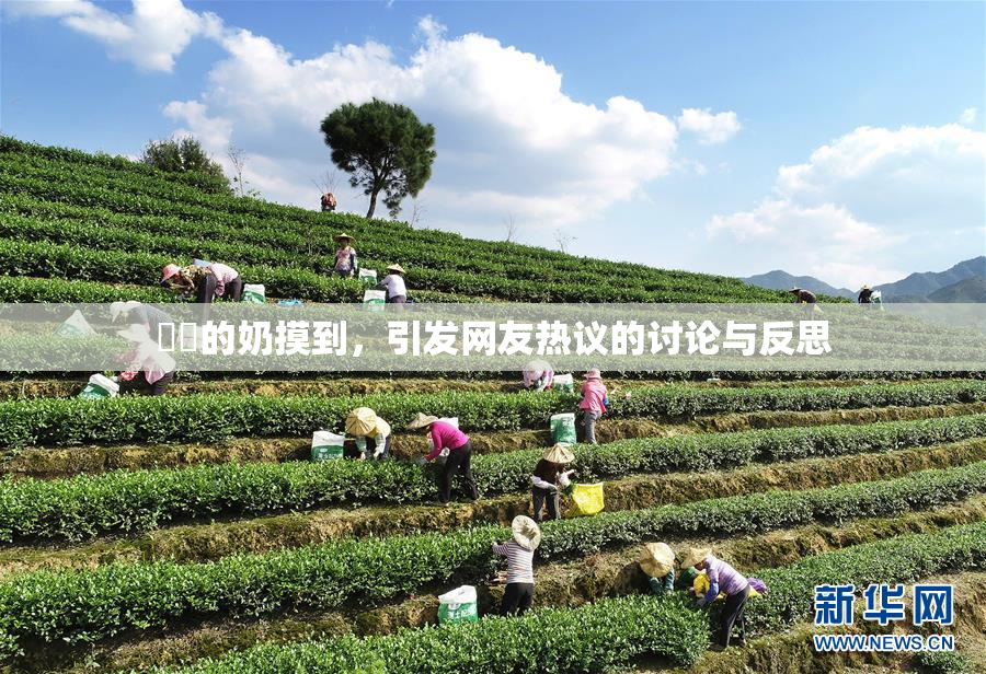 妺妺的奶摸到，引发网友热议的讨论与反思