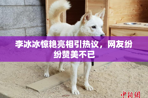 李冰冰惊艳亮相引热议，网友纷纷赞美不已