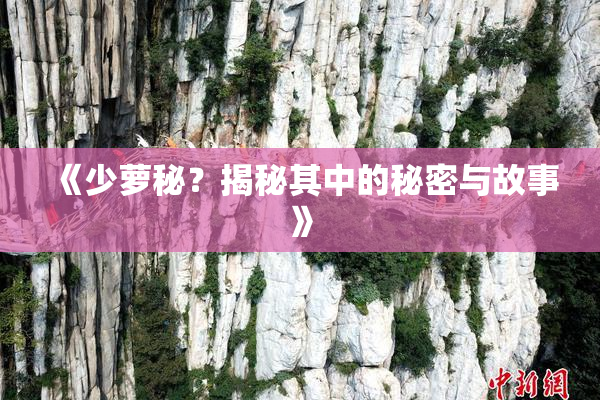 《少萝秘？揭秘其中的秘密与故事》