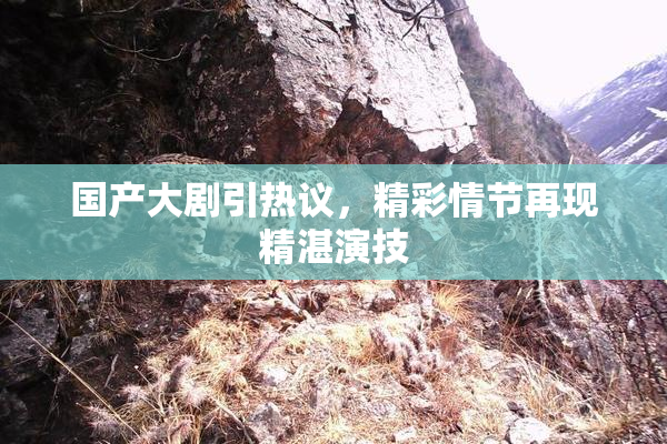 国产大剧引热议，精彩情节再现精湛演技