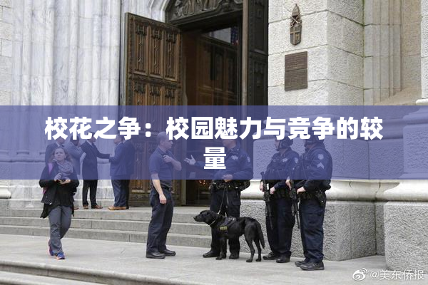 校花之争：校园魅力与竞争的较量