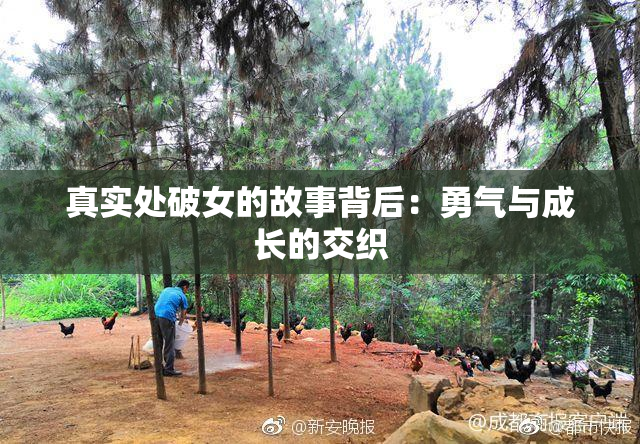 真实处破女的故事背后：勇气与成长的交织
