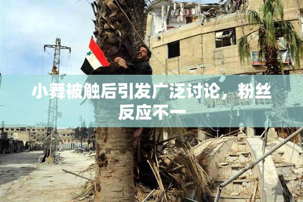 小舞被触后引发广泛讨论，粉丝反应不一