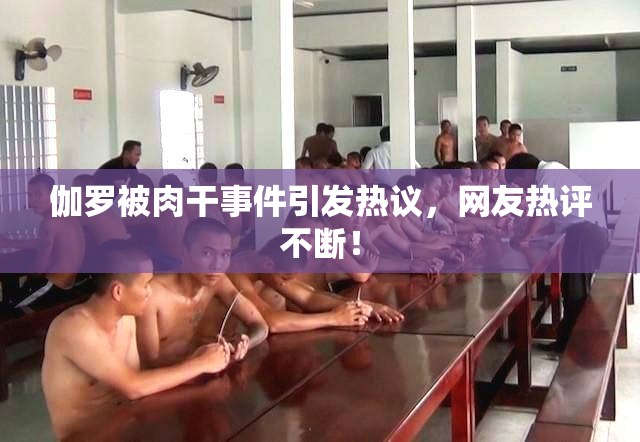 伽罗被肉干事件引发热议，网友热评不断！