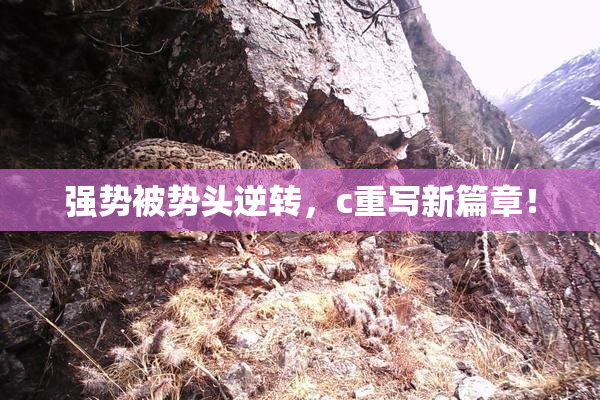强势被势头逆转，c重写新篇章！