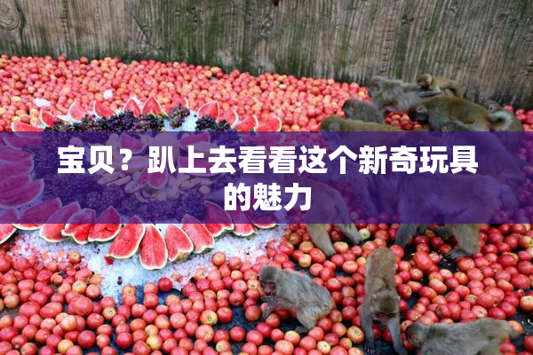 宝贝？趴上去看看这个新奇玩具的魅力