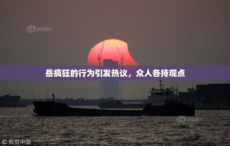 岳疯狂的行为引发热议，众人各持观点