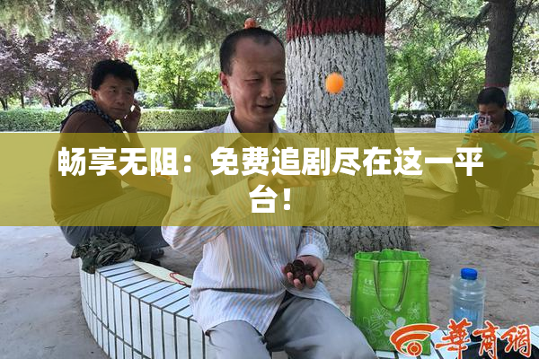 畅享无阻：免费追剧尽在这一平台！
