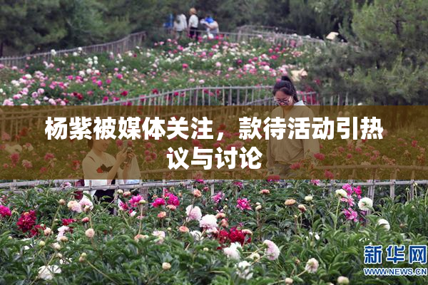 杨紫被媒体关注，款待活动引热议与讨论
