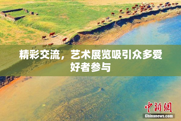 精彩交流，艺术展览吸引众多爱好者参与