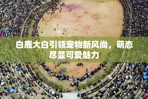 白鹿大白引领宠物新风尚，萌态尽显可爱魅力