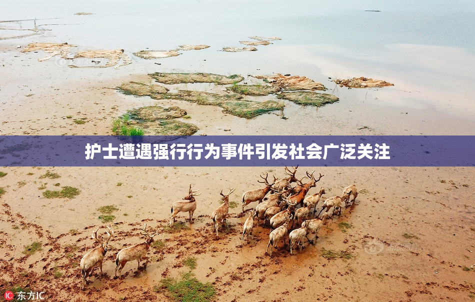 护士遭遇强行行为事件引发社会广泛关注