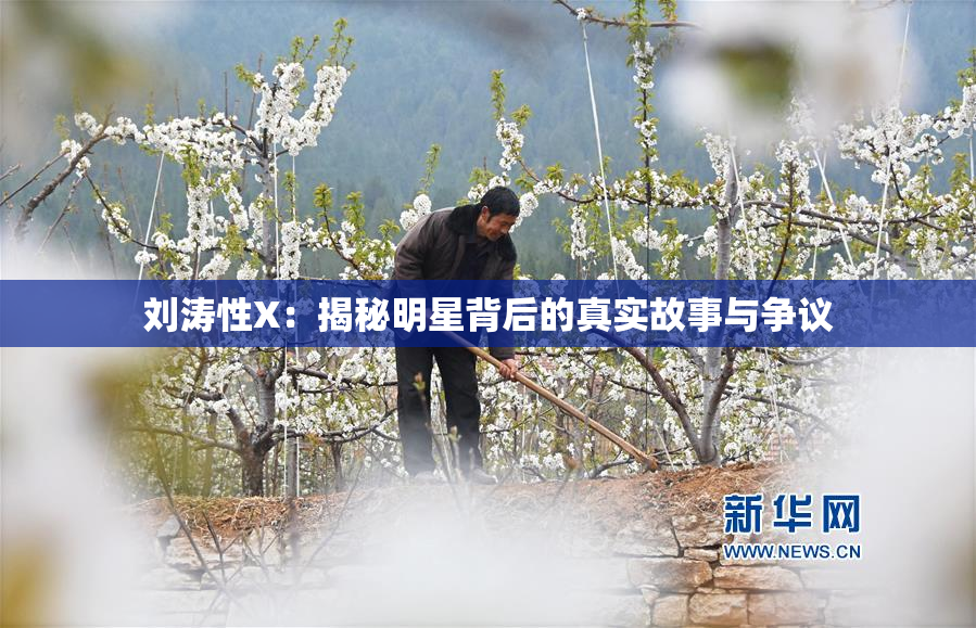 刘涛性X：揭秘明星背后的真实故事与争议