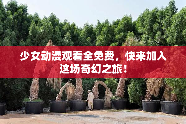 少女动漫观看全免费，快来加入这场奇幻之旅！