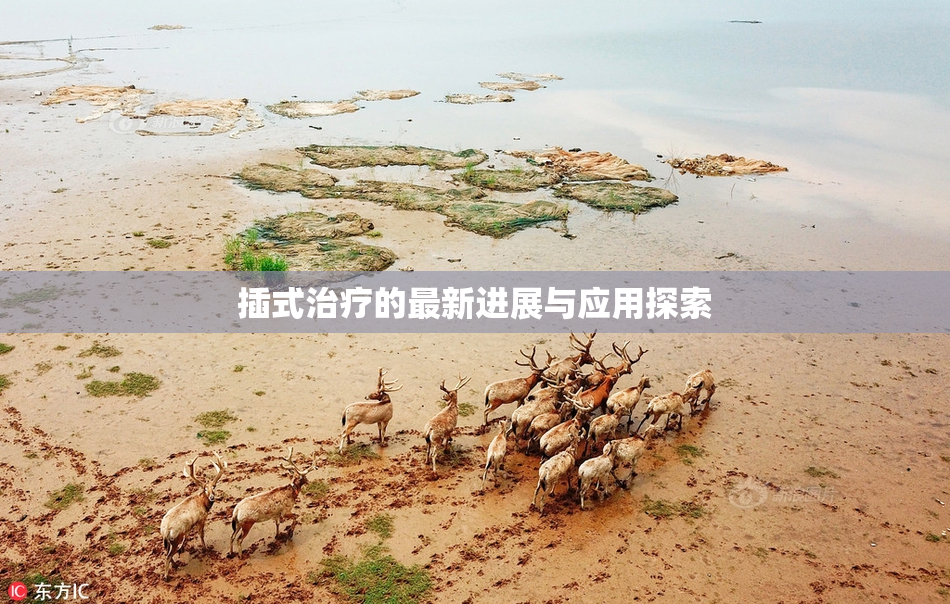 插式治疗的最新进展与应用探索