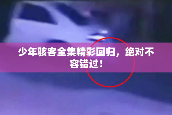 少年骇客全集精彩回归，绝对不容错过！