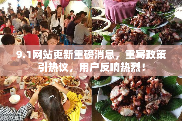 9.1网站更新重磅消息，重写政策引热议，用户反响热烈！