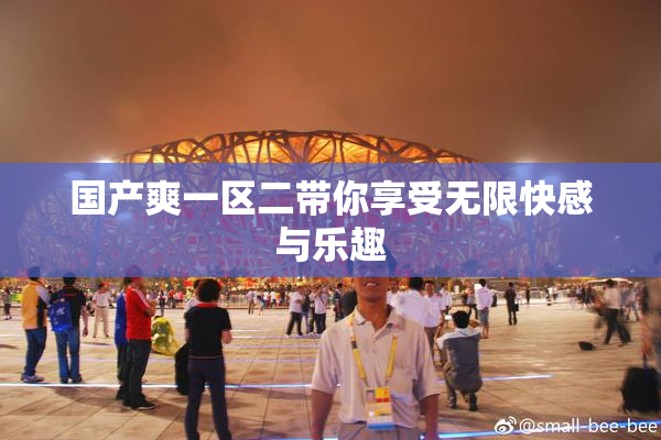 国产爽一区二带你享受无限快感与乐趣