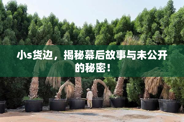 小s货边，揭秘幕后故事与未公开的秘密！