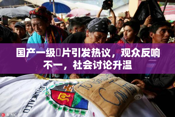 国产一级婬片引发热议，观众反响不一，社会讨论升温