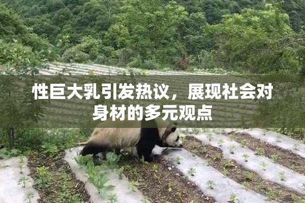 性巨大乳引发热议，展现社会对身材的多元观点