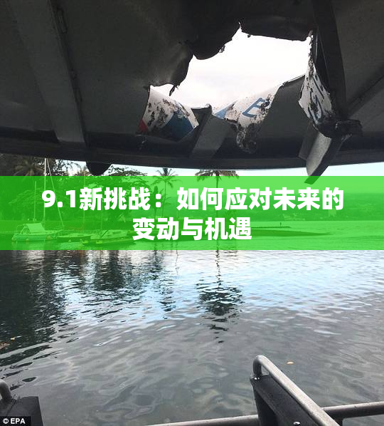 9.1新挑战：如何应对未来的变动与机遇