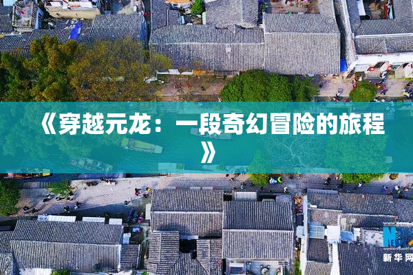 《穿越元龙：一段奇幻冒险的旅程》