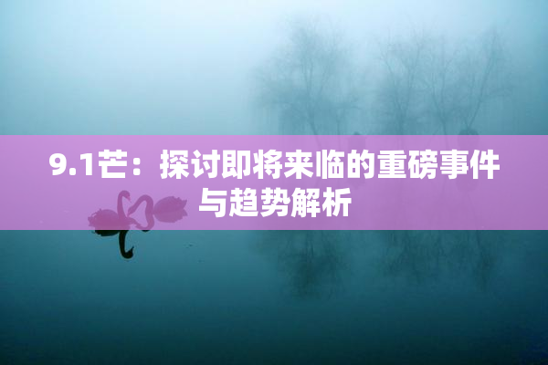9.1芒：探讨即将来临的重磅事件与趋势解析