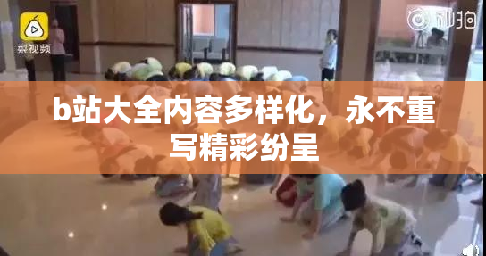 b站大全内容多样化，永不重写精彩纷呈