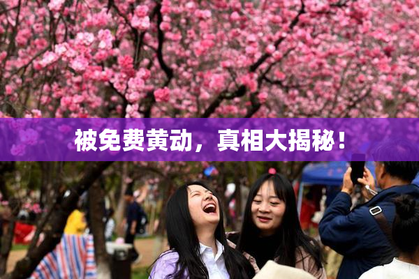 被免费黄动，真相大揭秘！