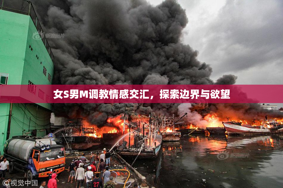 女S男M调教情感交汇，探索边界与欲望
