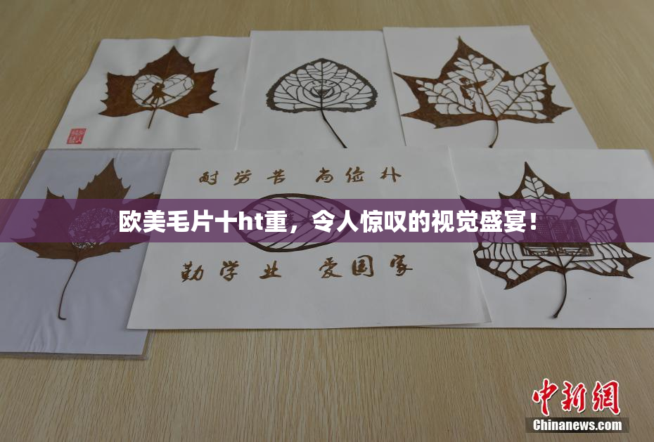 欧美毛片十ht重，令人惊叹的视觉盛宴！