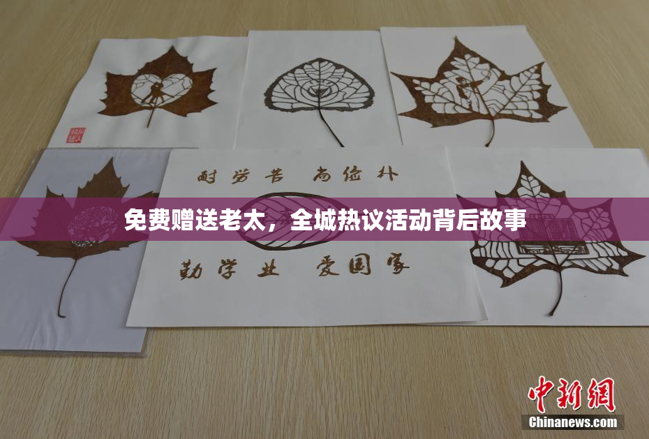 免费赠送老太，全城热议活动背后故事