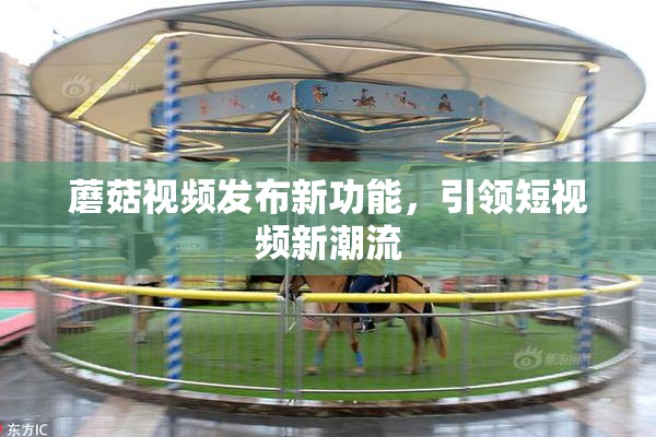 蘑菇视频发布新功能，引领短视频新潮流