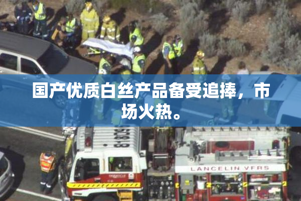 国产优质白丝产品备受追捧，市场火热。