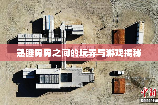 熟睡男男之间的玩弄与游戏揭秘