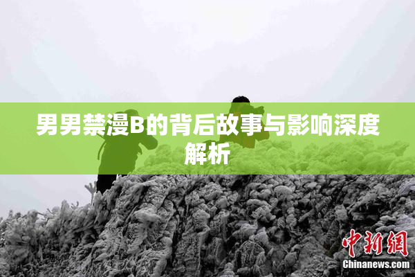 男男禁漫B的背后故事与影响深度解析