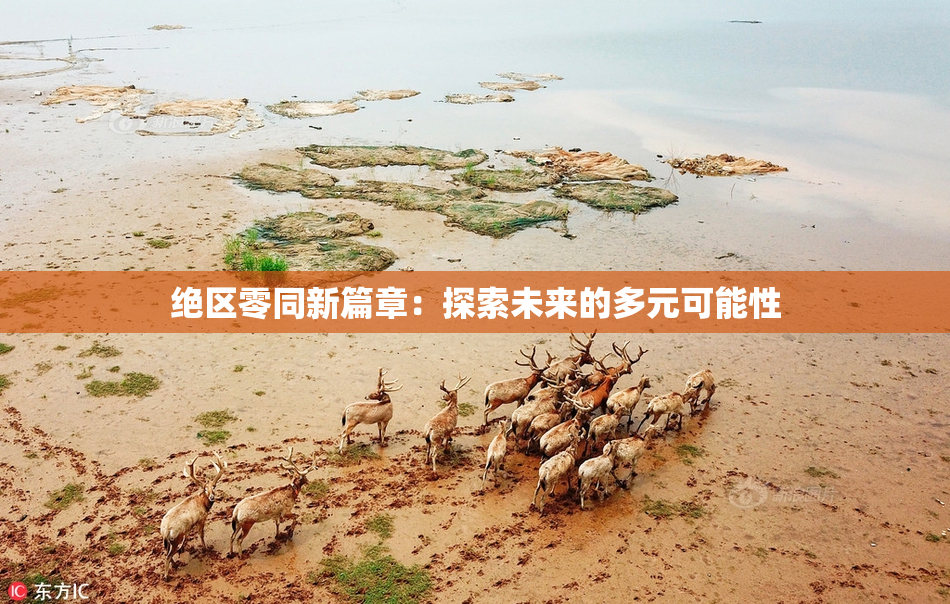 绝区零同新篇章：探索未来的多元可能性