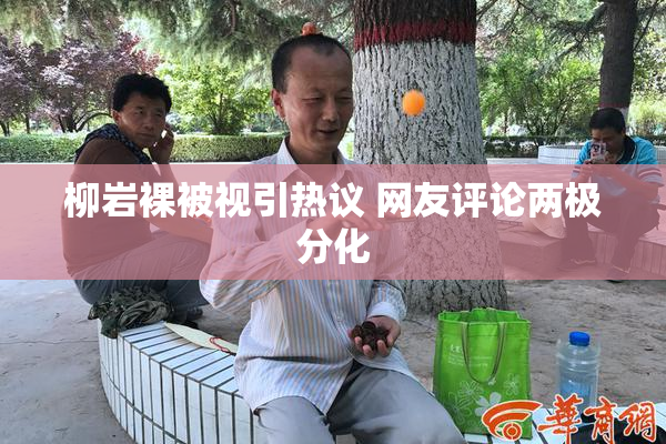 柳岩裸被视引热议 网友评论两极分化