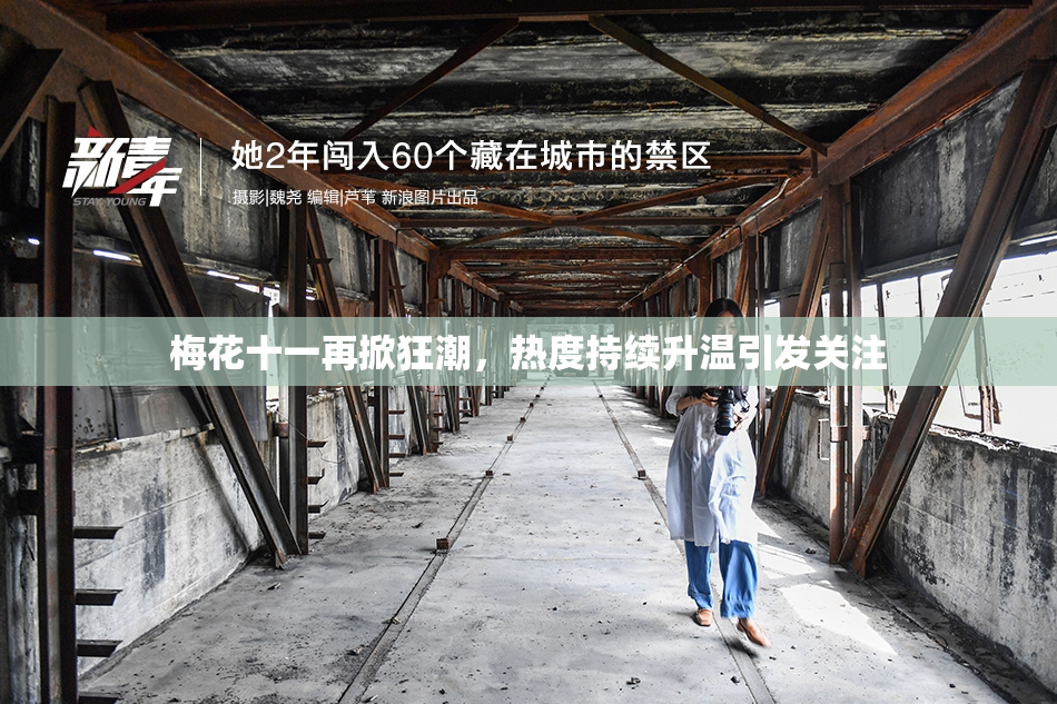 梅花十一再掀狂潮，热度持续升温引发关注