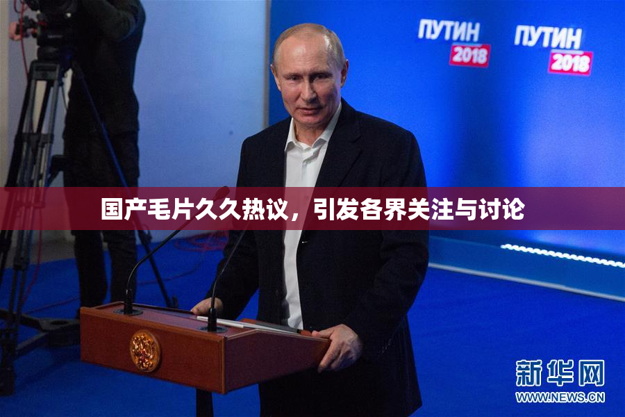 国产毛片久久热议，引发各界关注与讨论