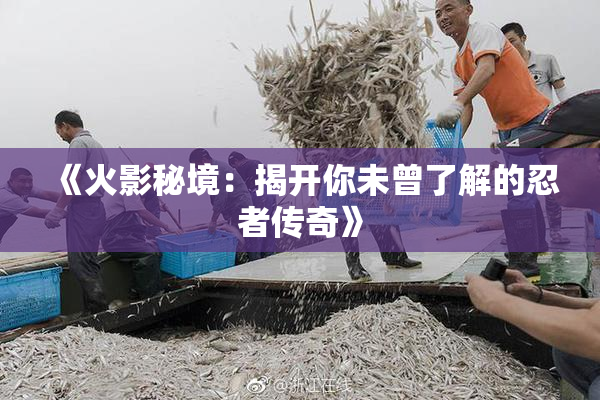《火影秘境：揭开你未曾了解的忍者传奇》