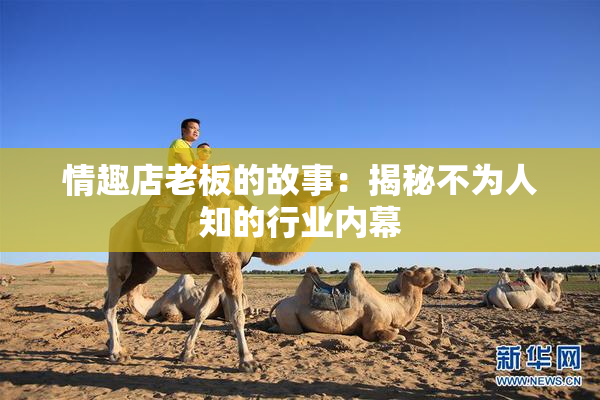 情趣店老板的故事：揭秘不为人知的行业内幕