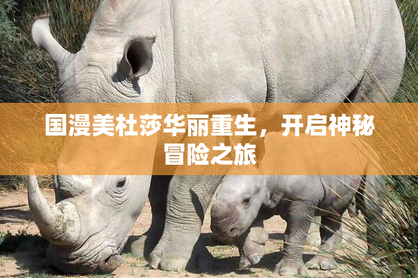 国漫美杜莎华丽重生，开启神秘冒险之旅