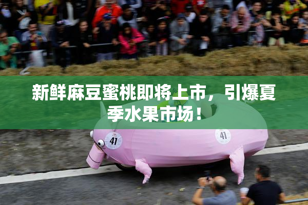新鲜麻豆蜜桃即将上市，引爆夏季水果市场！