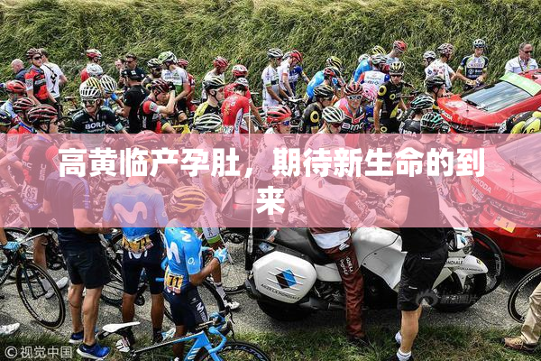 高黄临产孕肚，期待新生命的到来